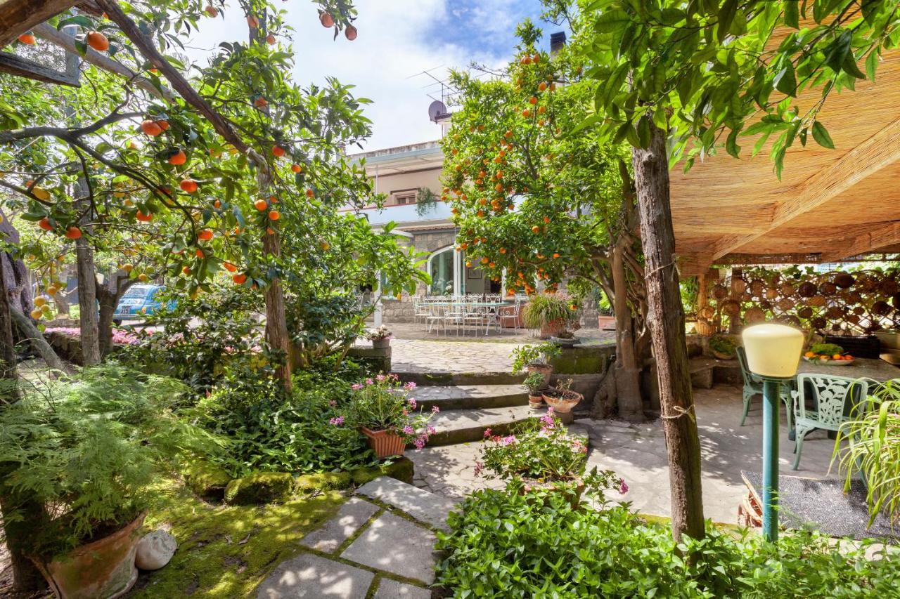 Villa Maresca B&B Piano di Sorrento Ngoại thất bức ảnh