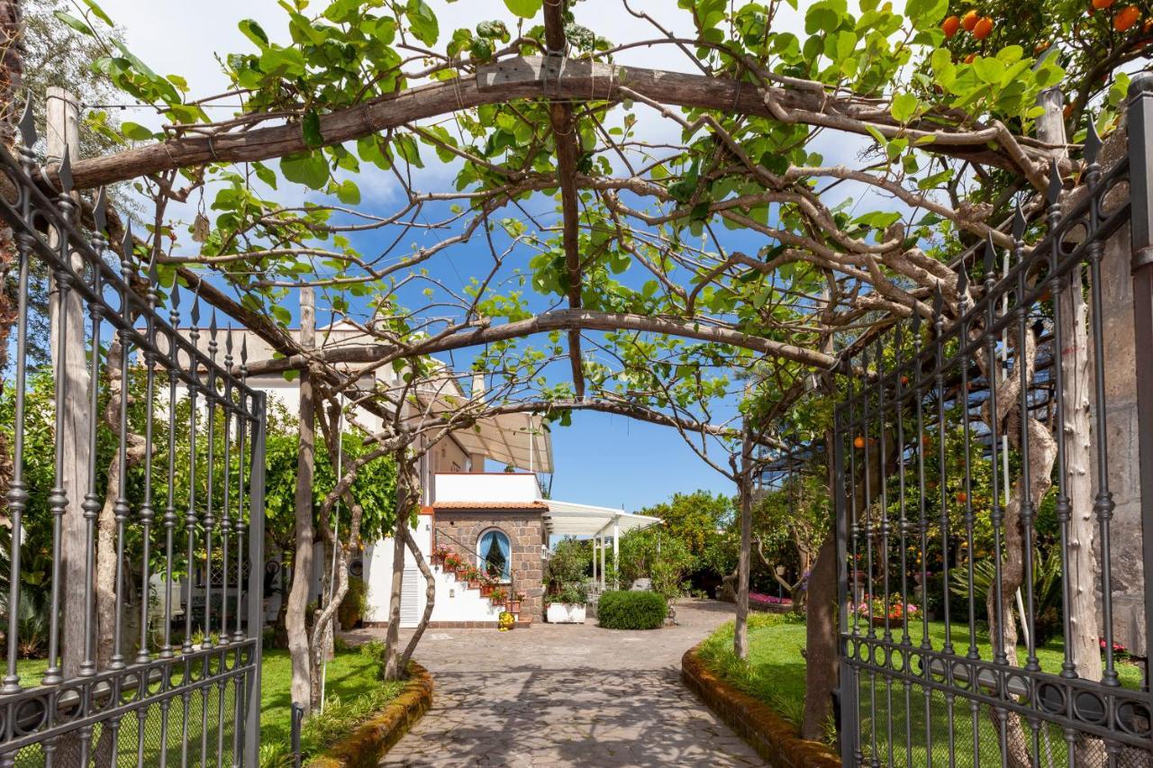 Villa Maresca B&B Piano di Sorrento Ngoại thất bức ảnh