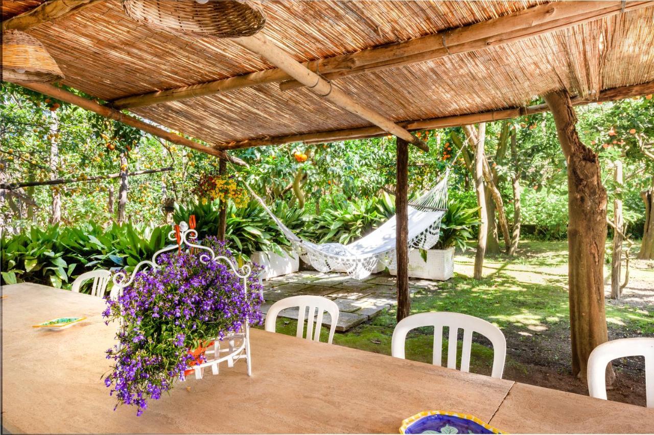 Villa Maresca B&B Piano di Sorrento Ngoại thất bức ảnh