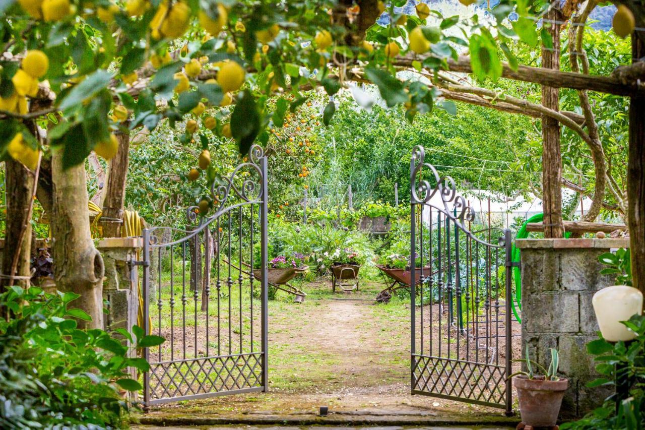 Villa Maresca B&B Piano di Sorrento Ngoại thất bức ảnh
