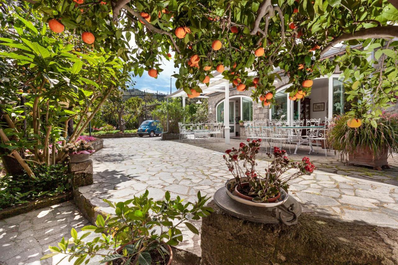 Villa Maresca B&B Piano di Sorrento Ngoại thất bức ảnh