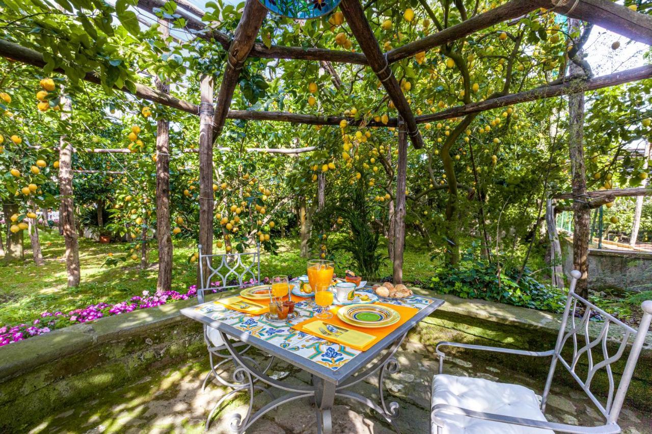 Villa Maresca B&B Piano di Sorrento Ngoại thất bức ảnh