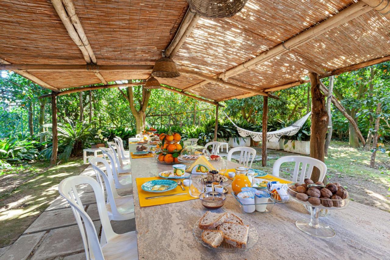 Villa Maresca B&B Piano di Sorrento Ngoại thất bức ảnh