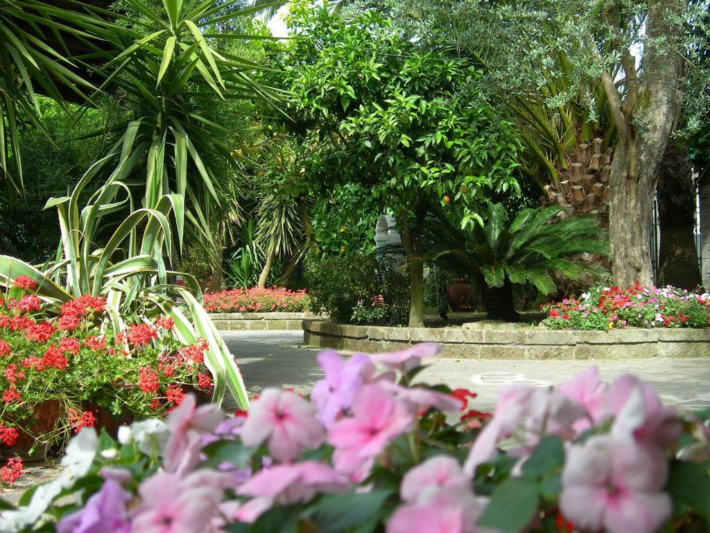 Villa Maresca B&B Piano di Sorrento Ngoại thất bức ảnh