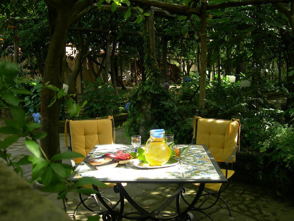 Villa Maresca B&B Piano di Sorrento Ngoại thất bức ảnh